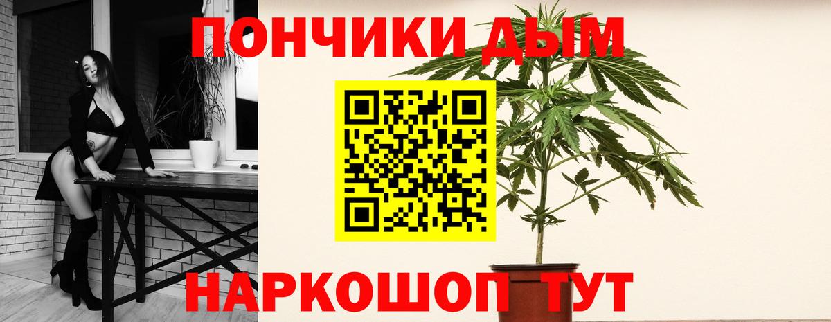 Бошки марихуана сатива  Вход с VPN  Конопля марихуана  Шишки марихуана марихуана  Новошахтинск 